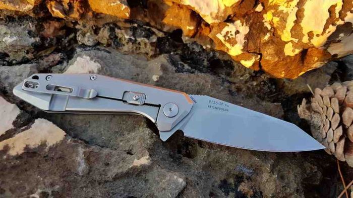Ніж складаний Ruike P135-SF