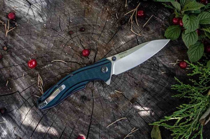 Ніж складаний Ruike P841-L
