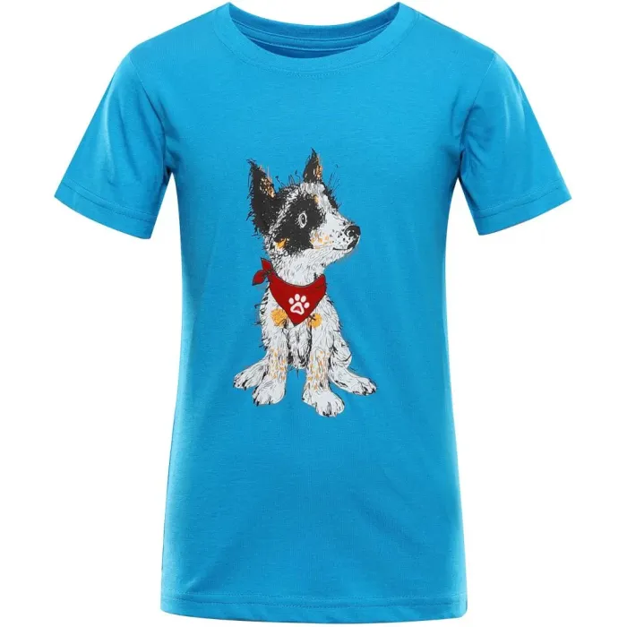 Футболка Alpine Pro Ecomo 3