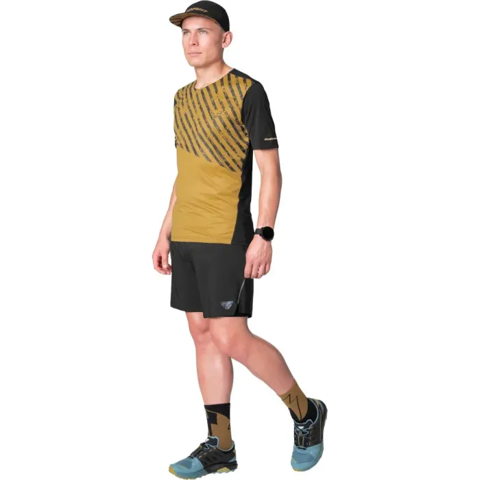 Футболка Dynafit Alpine 2 S/S Mns  L 