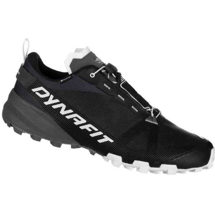 Кросівки Dynafit Traverse GTX Mns