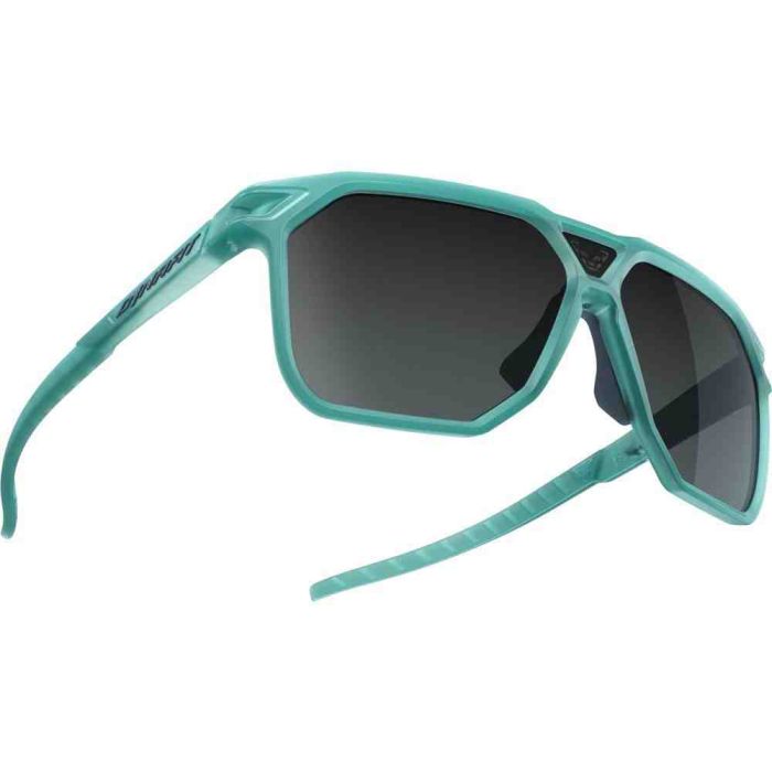 Окуляри Dynafit Traverse Sunglasses
