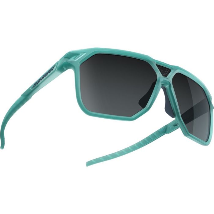 Окуляри Dynafit Traverse Sunglasses