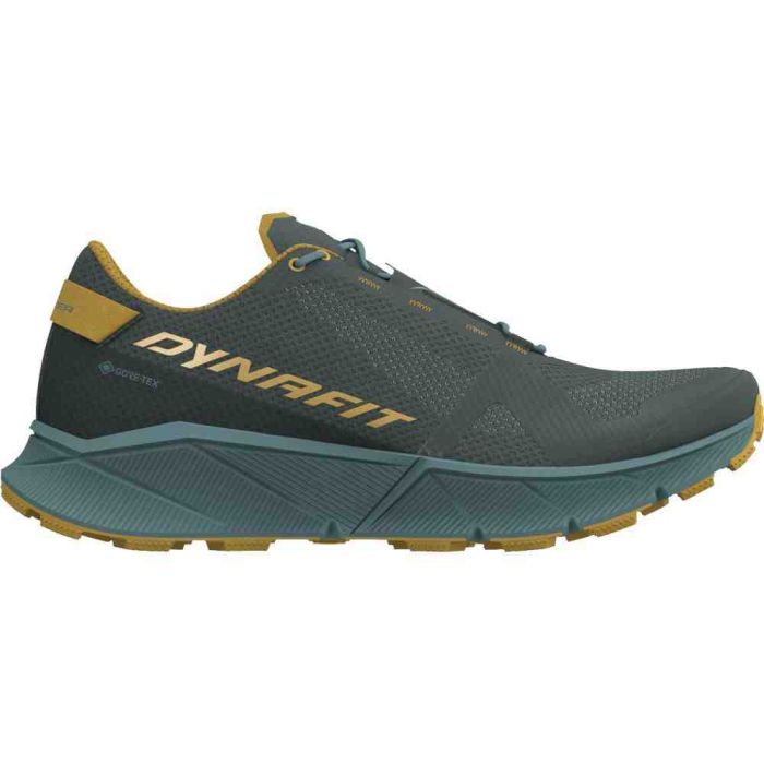 Кросівки Dynafit Ultra 100 GTX Mns