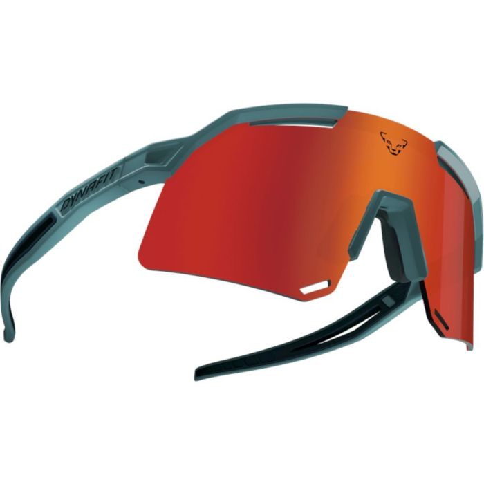 Окуляри Dynafit Ultra Revo Sunglasses