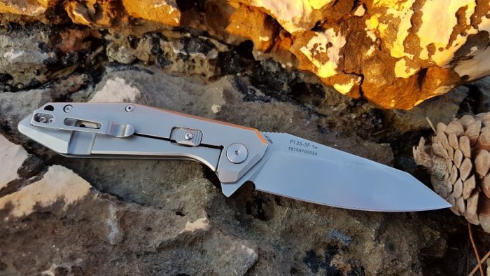 Ніж складаний Ruike P135-SF