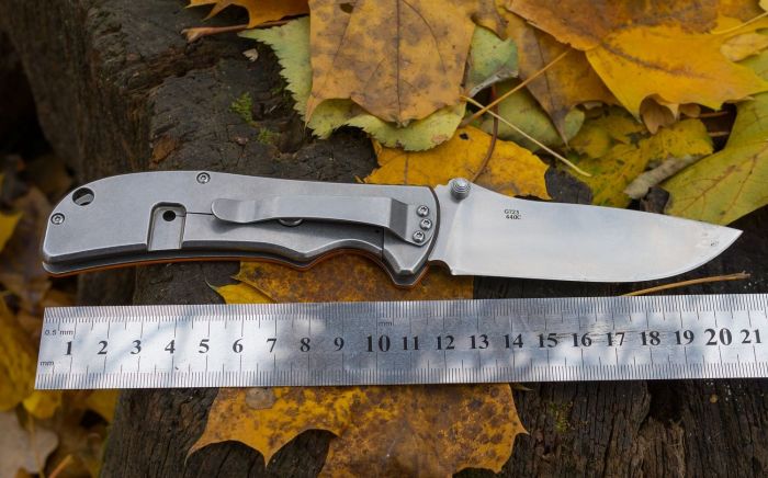 Ніж складний Ganzo G723 чорний