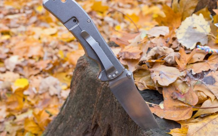 Ніж складний Ganzo G723 чорний