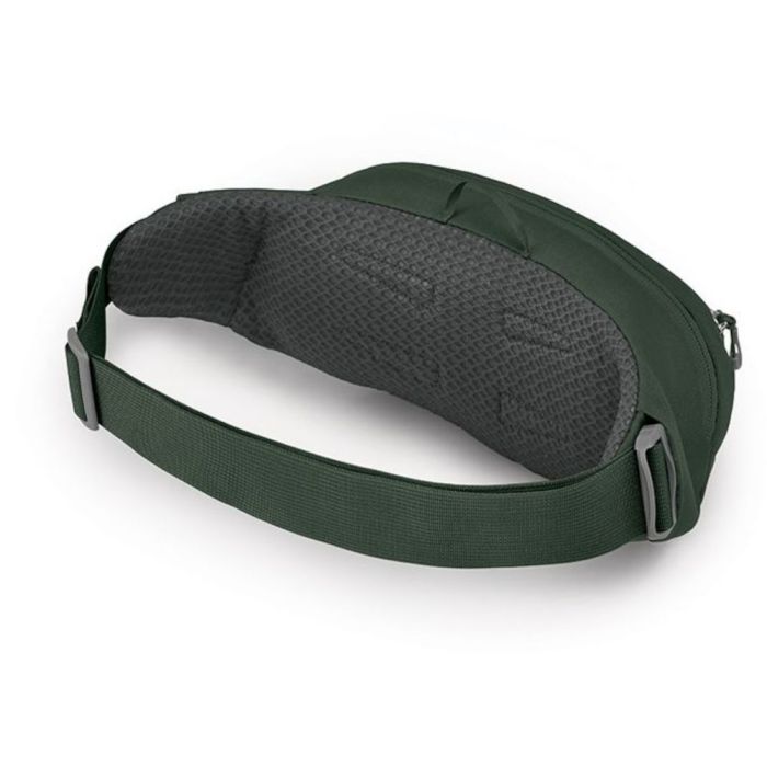 Поясна сумка Osprey Daylite Waist