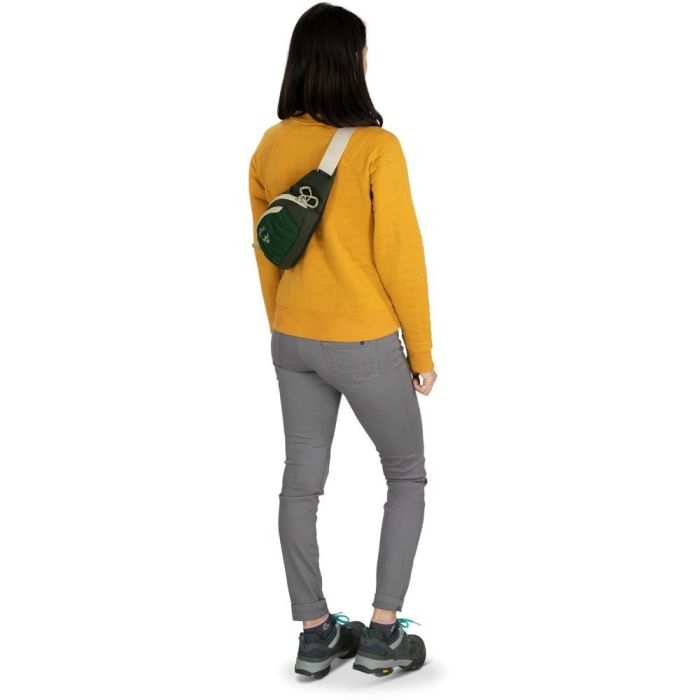 Поясна сумка Osprey Daylite Waist
