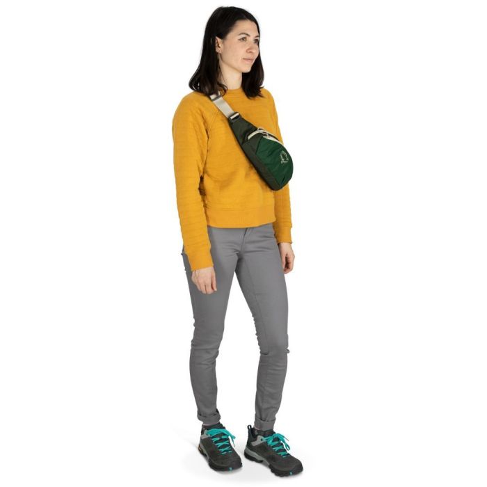 Поясна сумка Osprey Daylite Waist