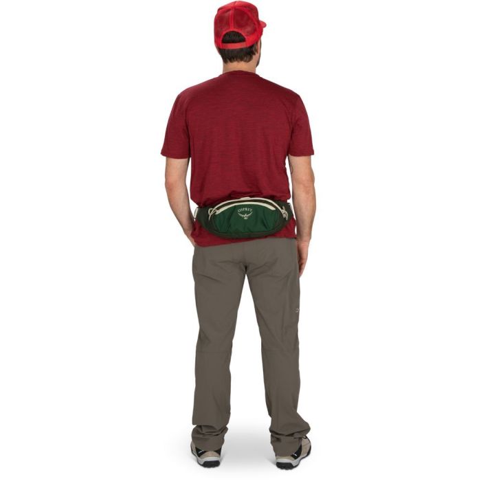 Поясна сумка Osprey Daylite Waist