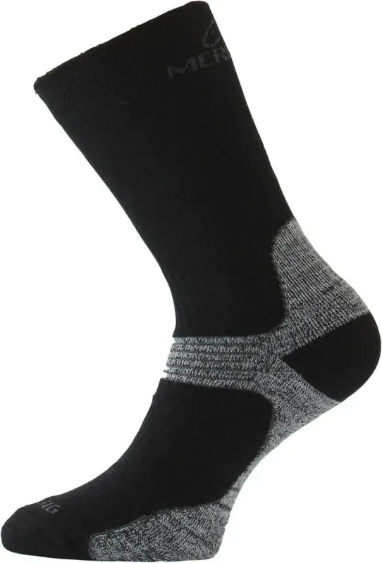 Шкарпетки Lasting WSB