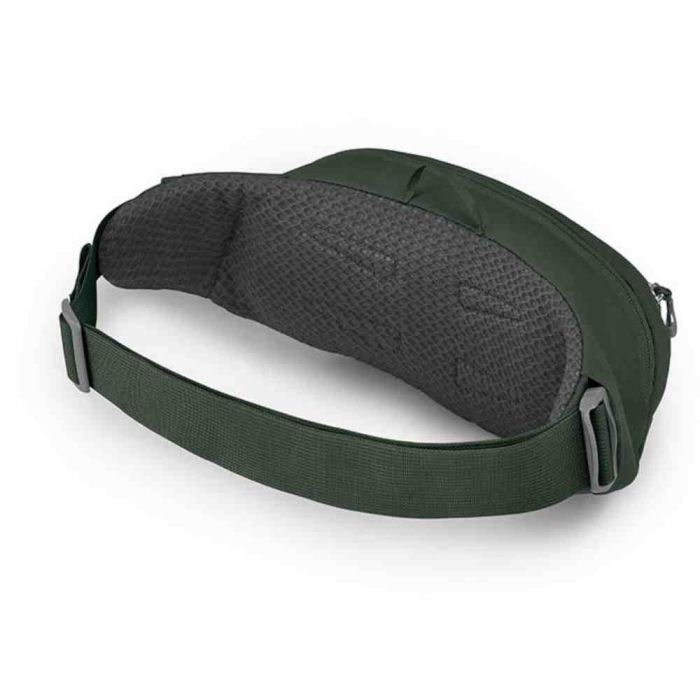 Поясна сумка Osprey Daylite Waist