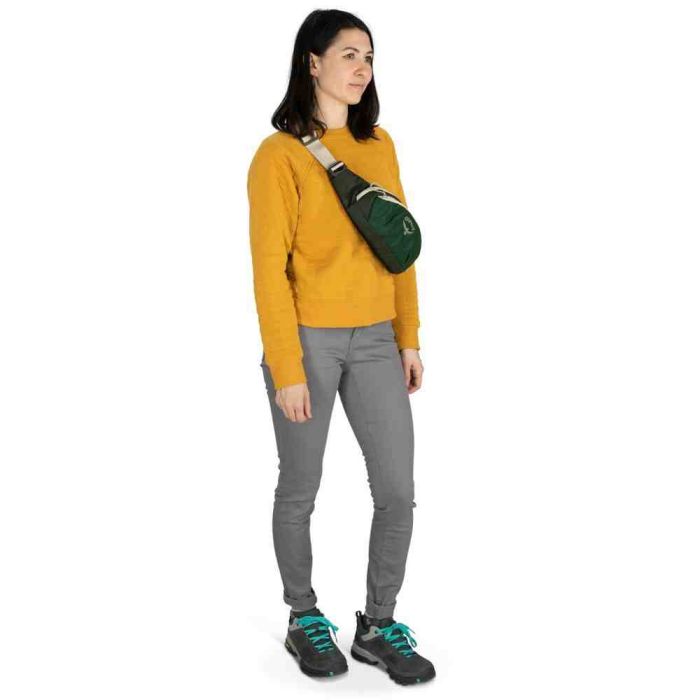 Поясна сумка Osprey Daylite Waist