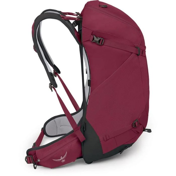 Рюкзак Osprey Hikelite 32