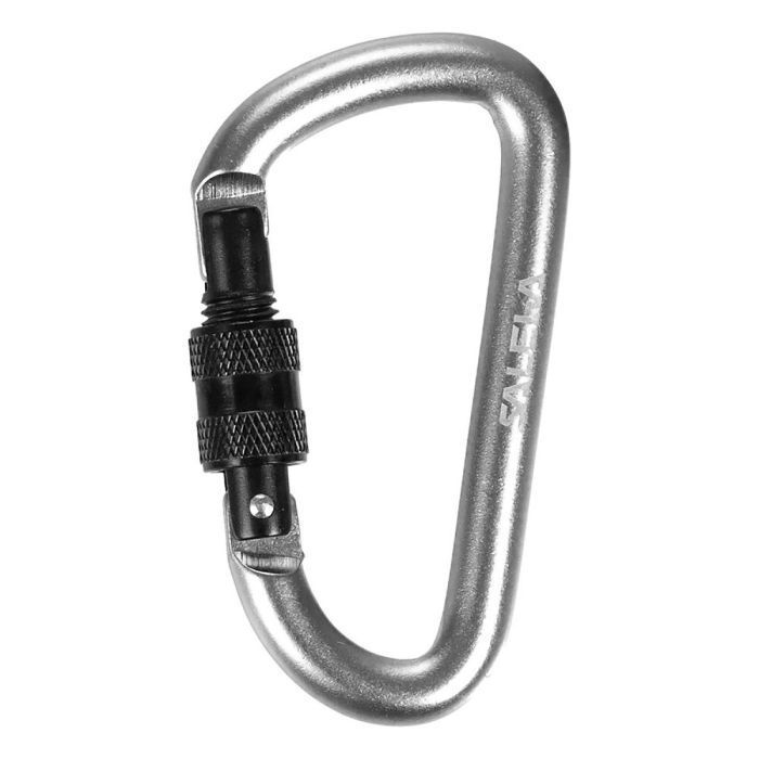 Брелок Salewa D-Shape Carbiner with screw