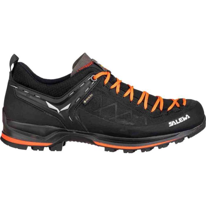 Кросівки Salewa MS MTN Trainer 2 GTX