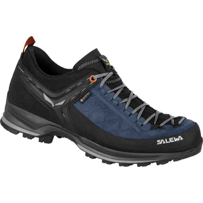 Кросівки Salewa MS MTN Trainer 2 GTX