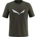 Футболка Salewa Solidlogo Dri-Release